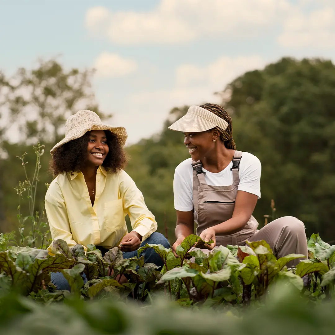 Strengthing farmers Connections