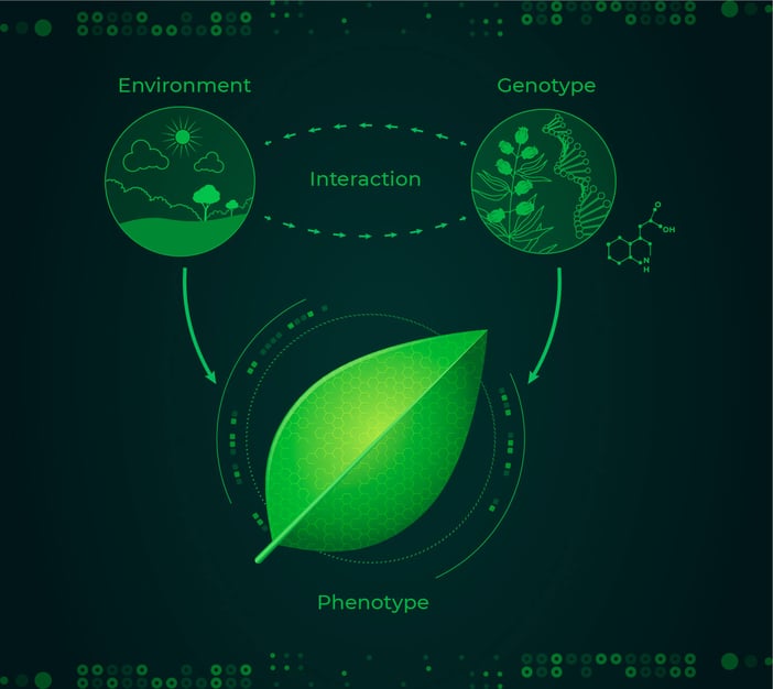 Phenotyping