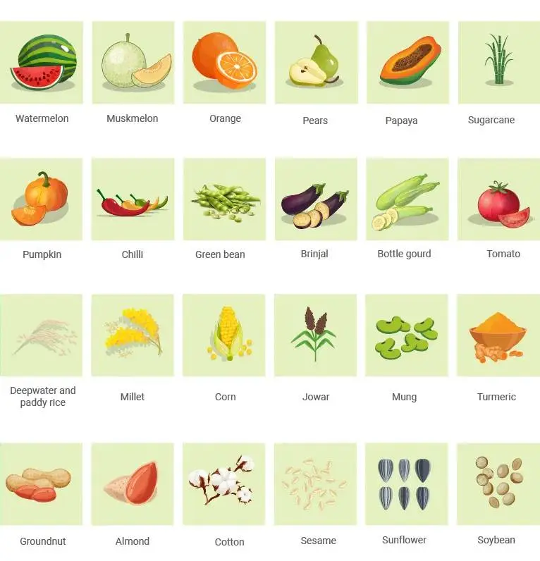 list-of-kharif-crops-infographic