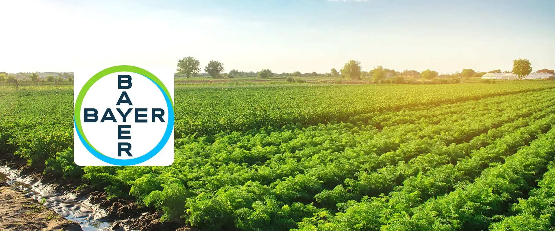 Climate FieldView (Bayer)1 (1)